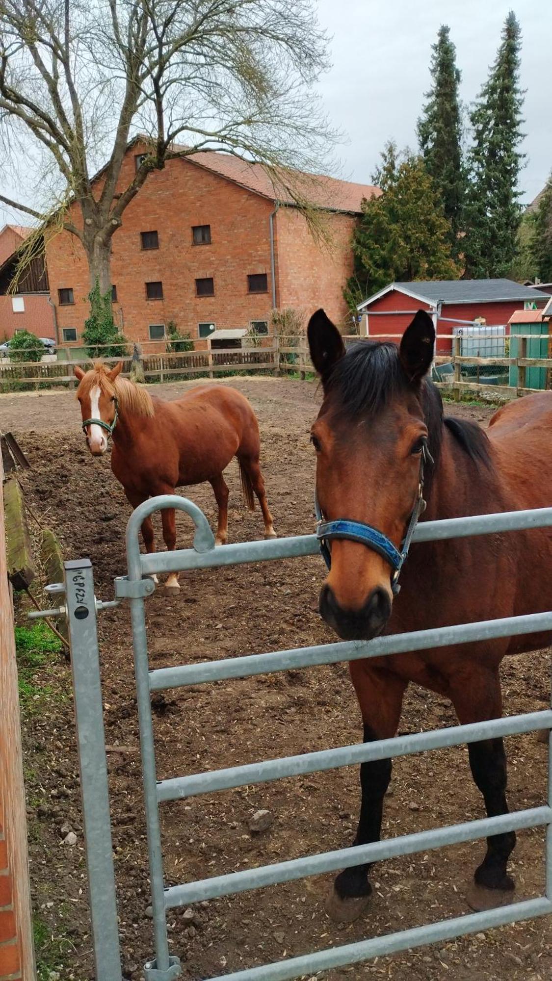 Apartamento Wohnen Auf Dem Bauernhof Laatzen Exterior foto